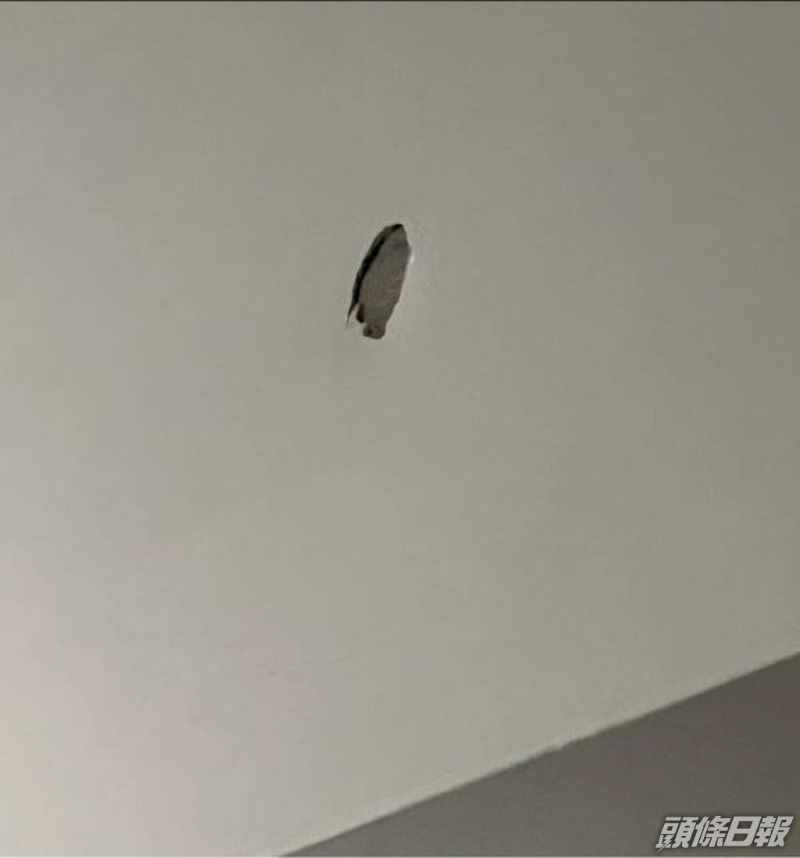 今年中Erin曾指有男人發(fā)脾氣掟手機掟爛墻，矛頭直指林利。