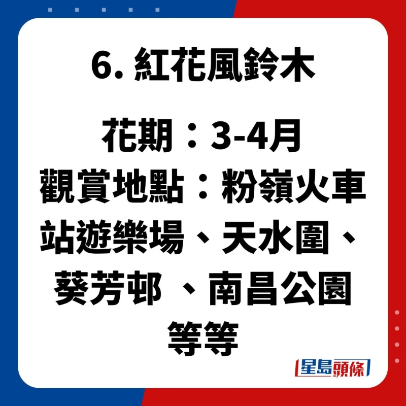 賞花好去處6. 紅花風(fēng)鈴木