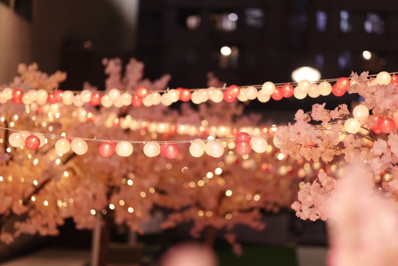 唯美浪漫桃花園打卡位。