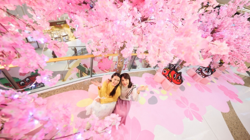 浪漫櫻花小路。