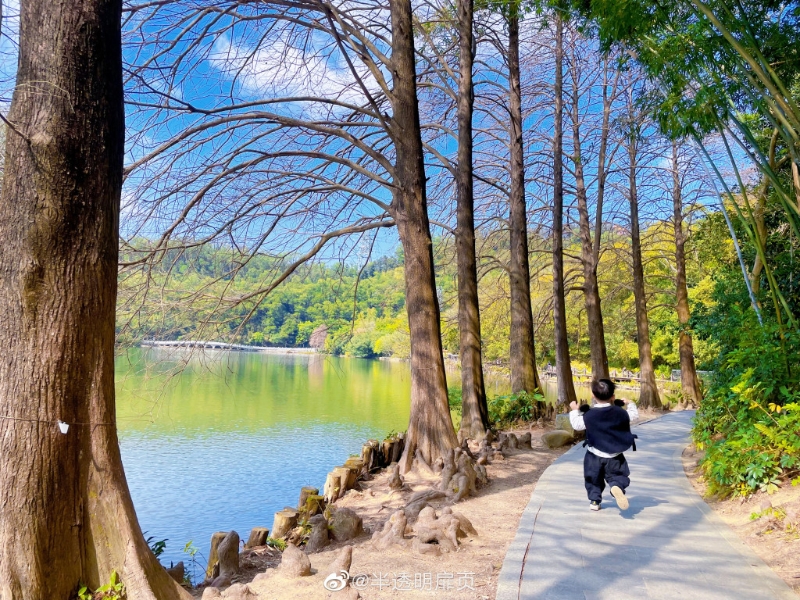 佔(zhàn)地546公頃。（圖片來源：小紅書@又見彩虹在這里）