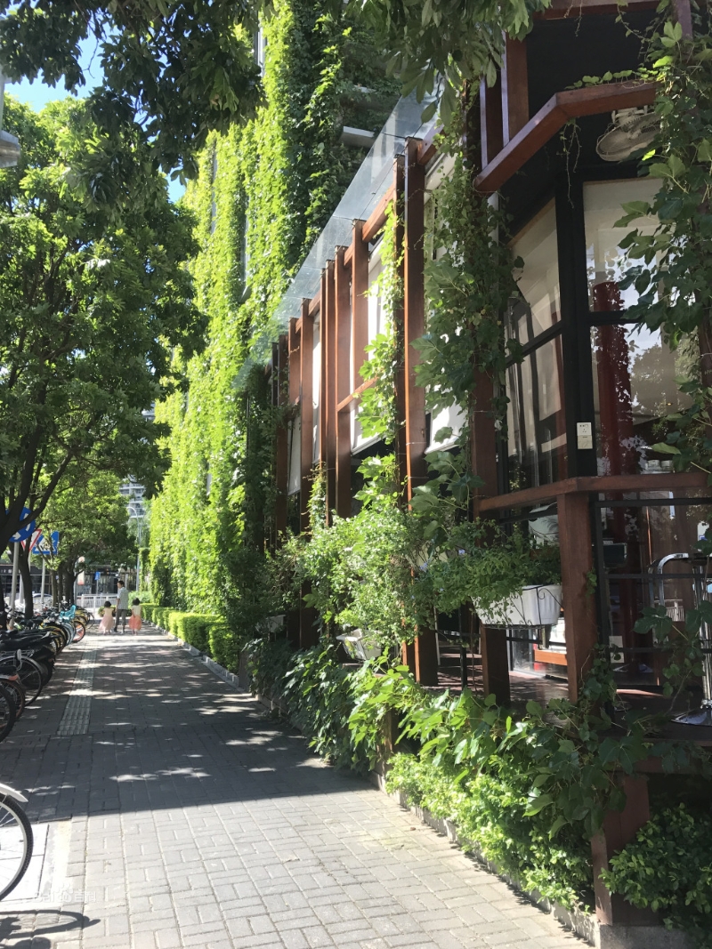 活化時(shí)保留了廠房建築（圖片來源：百度）