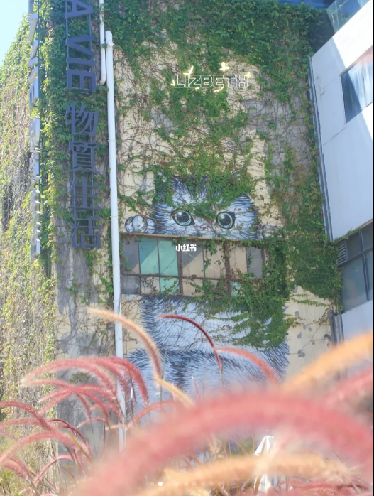 藝術(shù)畫牆（圖片來源：小紅書@Lizbeth）