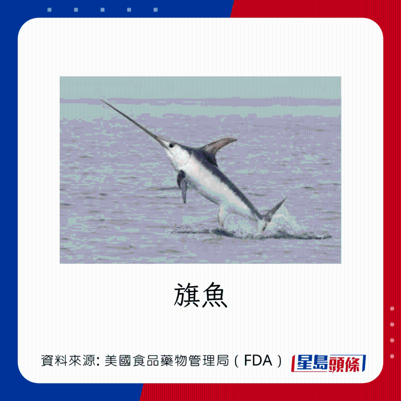 醫(yī)生列62種安全+危險(xiǎn)魚類 應(yīng)該避免 （汞含量最高）