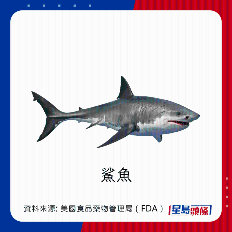 醫(yī)生列62種安全+危險(xiǎn)魚類 應(yīng)該避免 （汞含量最高）