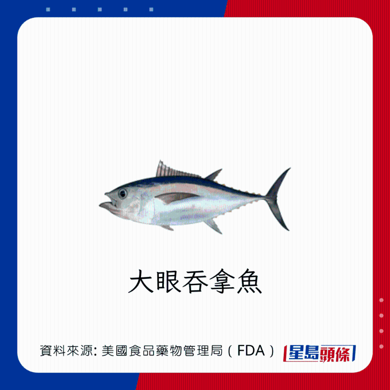 醫(yī)生列62種安全+危險(xiǎn)魚類 應(yīng)該避免 （汞含量最高）