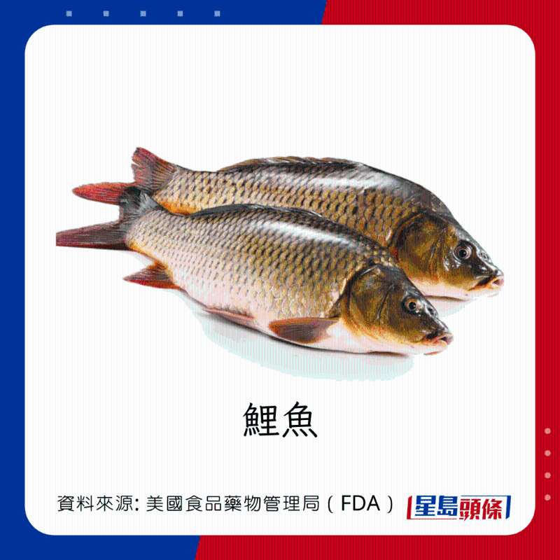 醫(yī)生列62種安全+危險(xiǎn)魚類 良好選擇 （汞含量中等）