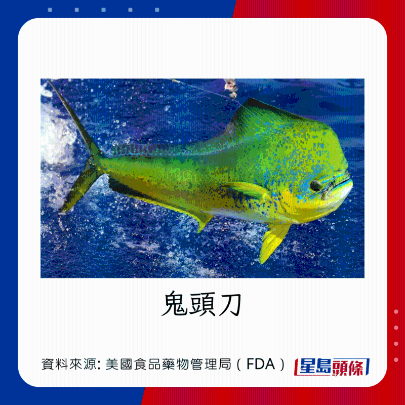 醫(yī)生列62種安全+危險(xiǎn)魚類 良好選擇 （汞含量中等）