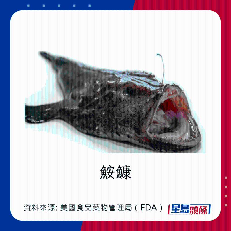 醫(yī)生列62種安全+危險(xiǎn)魚類 良好選擇 （汞含量中等）