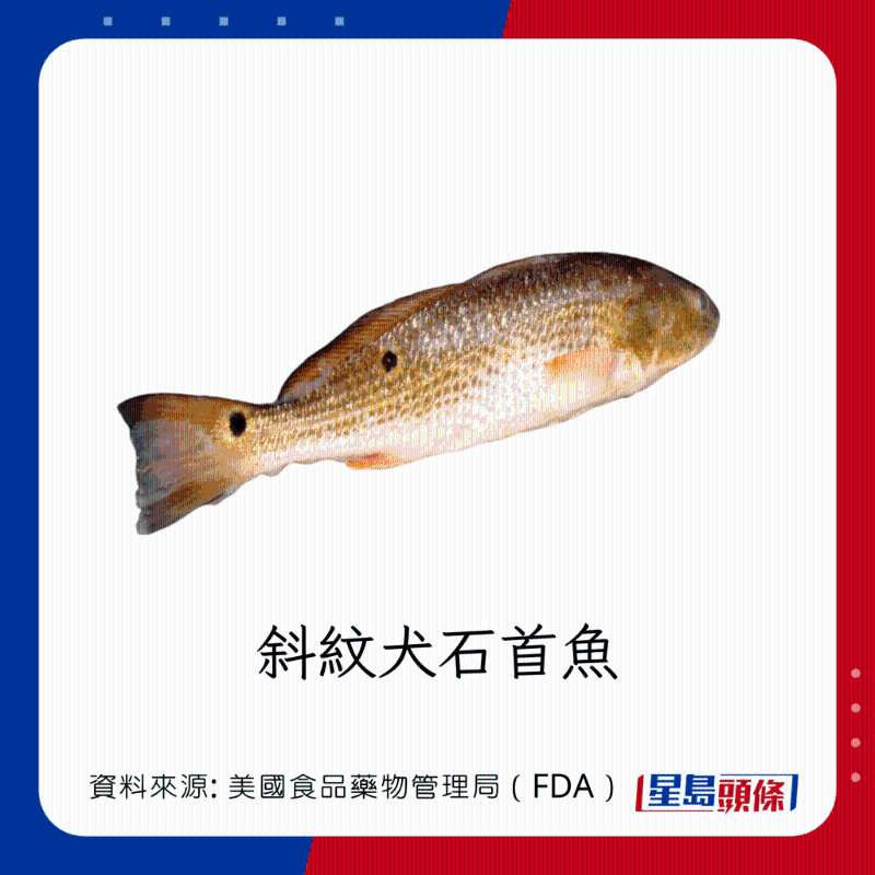 醫(yī)生列62種安全+危險(xiǎn)魚類 良好選擇 （汞含量中等）