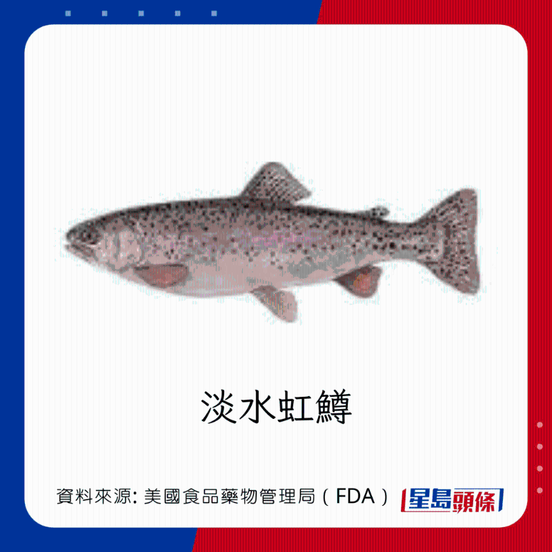 醫(yī)生列62種安全+危險(xiǎn)魚類 最佳選擇 （汞含量最少）