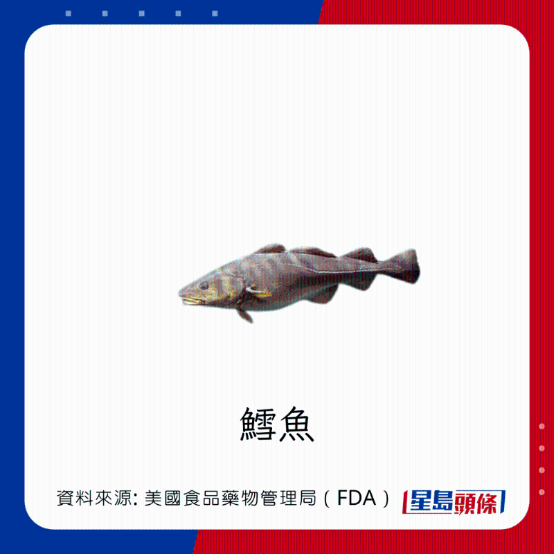 醫(yī)生列62種安全+危險(xiǎn)魚類 最佳選擇 （汞含量最少）