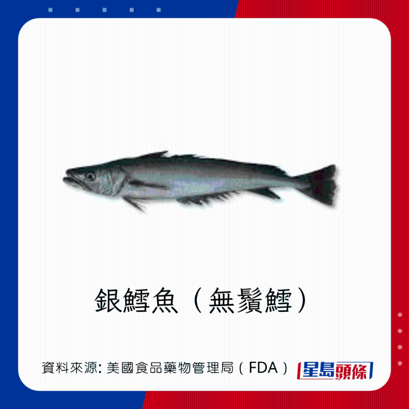 醫(yī)生列62種安全+危險(xiǎn)魚類 最佳選擇 （汞含量最少）