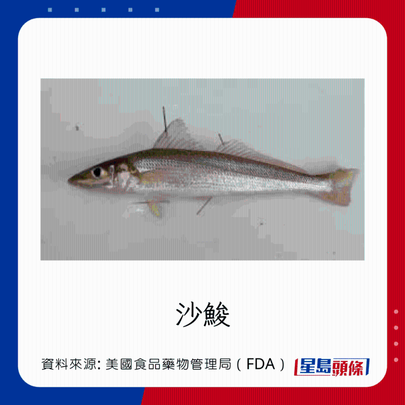 醫(yī)生列62種安全+危險(xiǎn)魚類 最佳選擇 （汞含量最少）
