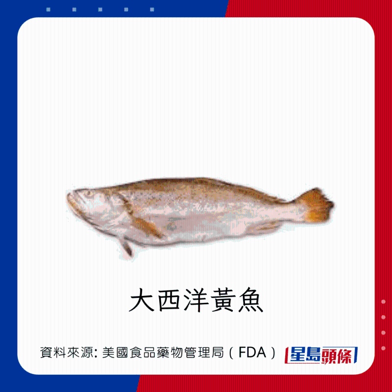 醫(yī)生列62種安全+危險(xiǎn)魚類 最佳選擇 （汞含量最少）