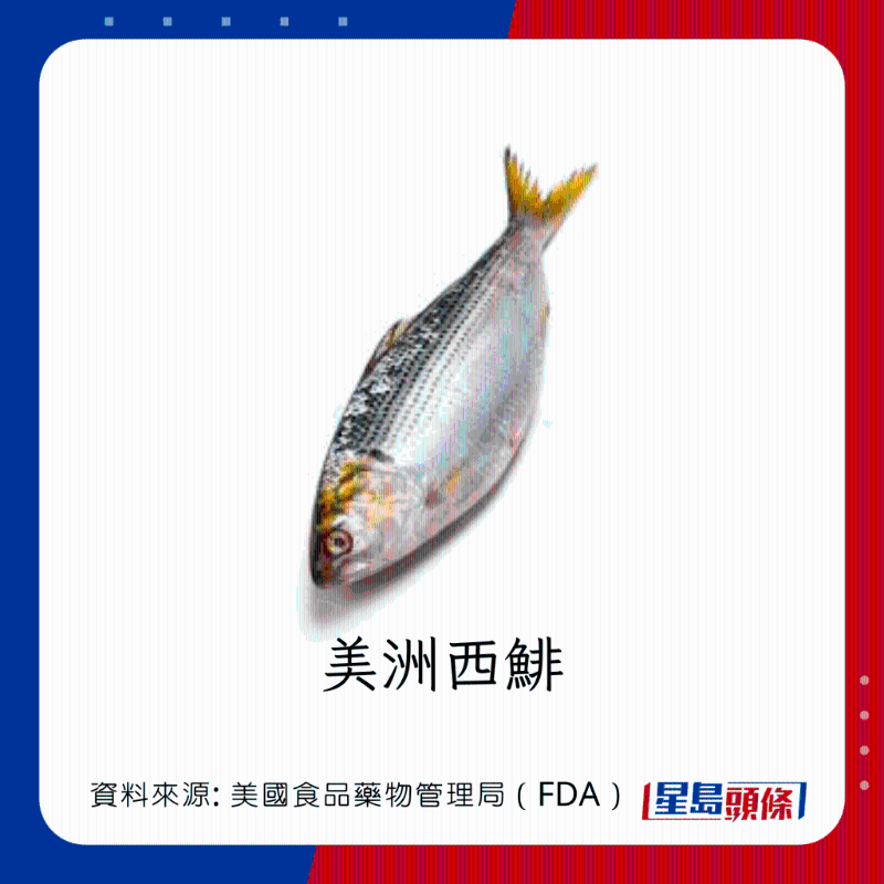 醫(yī)生列62種安全+危險(xiǎn)魚類 最佳選擇 （汞含量最少）