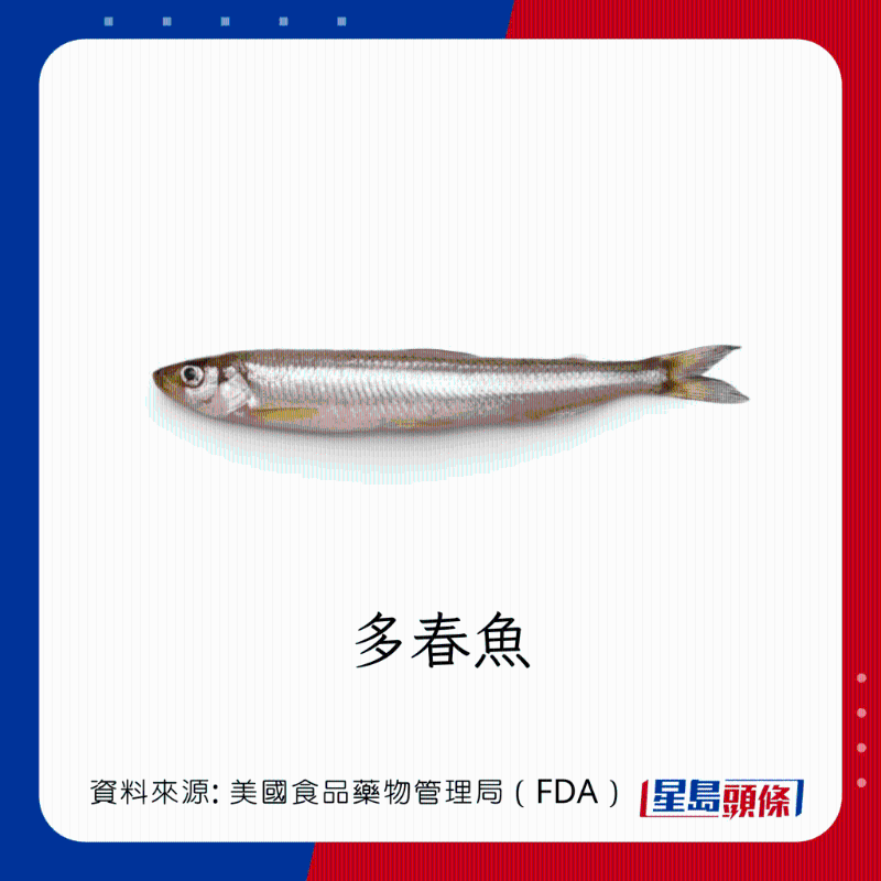 醫(yī)生列62種安全+危險(xiǎn)魚類 最佳選擇 （汞含量最少）