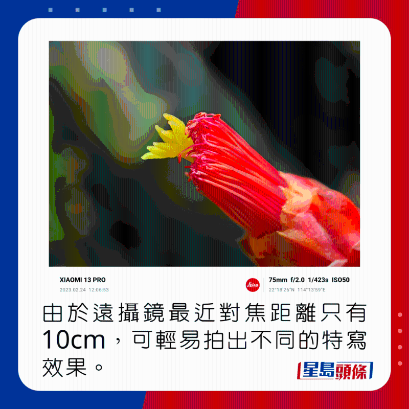 由於遠攝鏡最近對焦距離只有10cm，可輕易拍出不同的特寫效果。