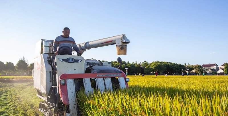習(xí)近平強(qiáng)調(diào)，要扎扎實(shí)實(shí)、踏踏實(shí)實(shí)地搞現(xiàn)代化建設(shè)。