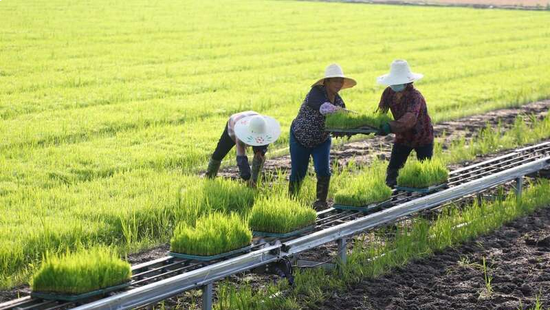 習(xí)近平提出，任何時(shí)候都不能走那種急就章、竭澤而漁、唯GDP的道路。