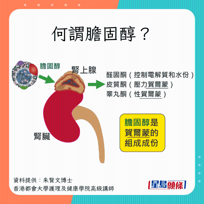 甚麼是膽固醇？