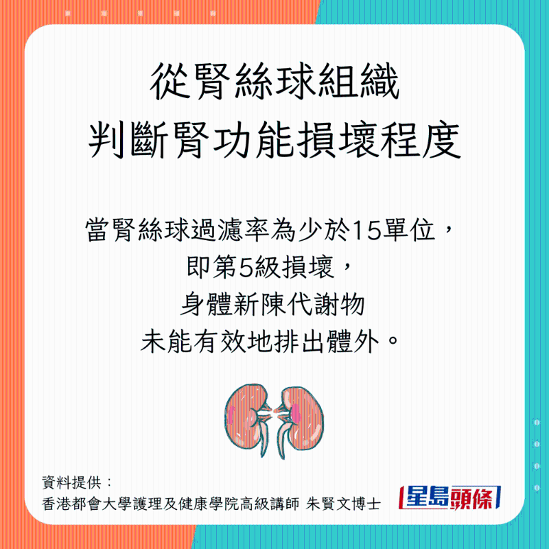 從腎絲球組織判斷腎功能損壞程度