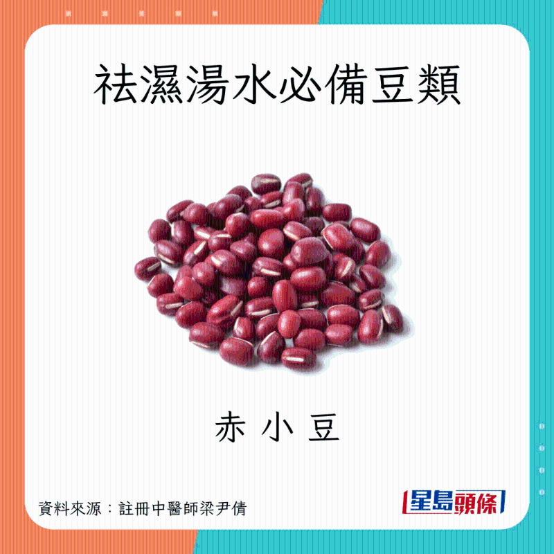 SpringVernalEquinox_B02 SpringVernalEquinox_B02