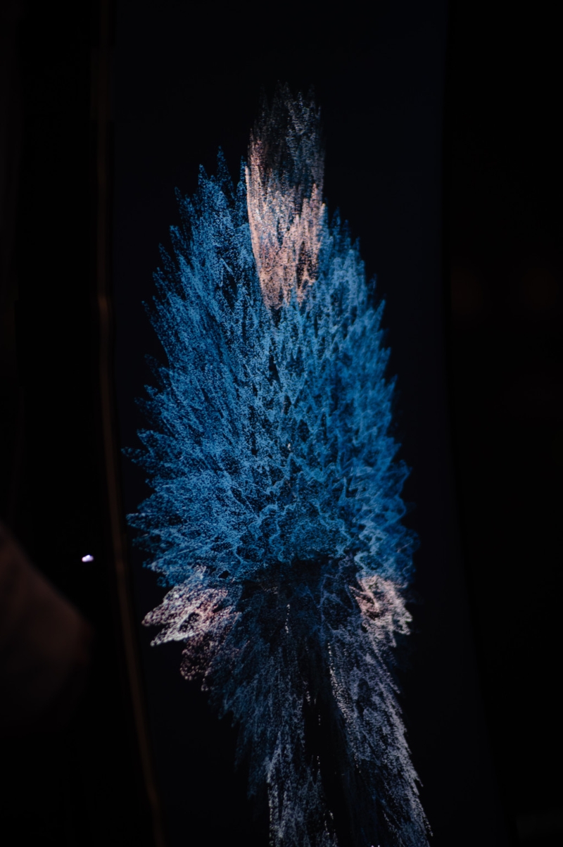 林豐影像。 （圖：Maximillian Cheng）