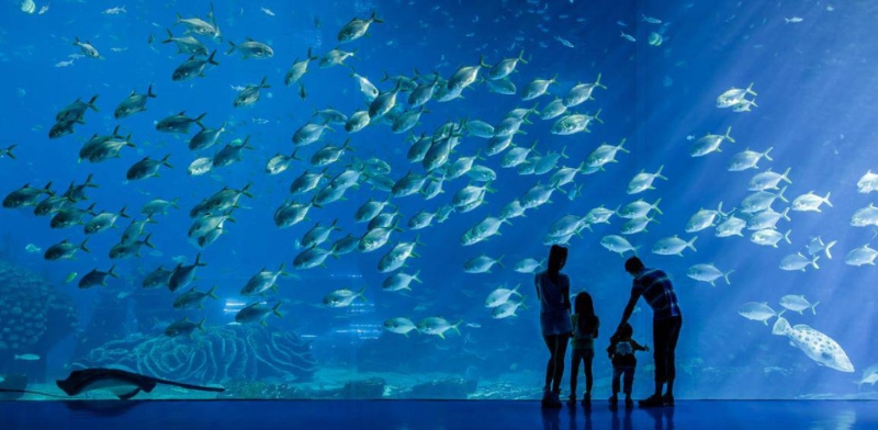 是全球最大的海洋主題公園。 （圖片來源：珠海長隆海洋王國）