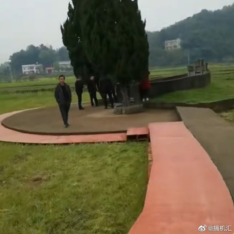 臨時木製通道直通馬家祖墳給馬英九及親屬掃墓。網(wǎng)圖