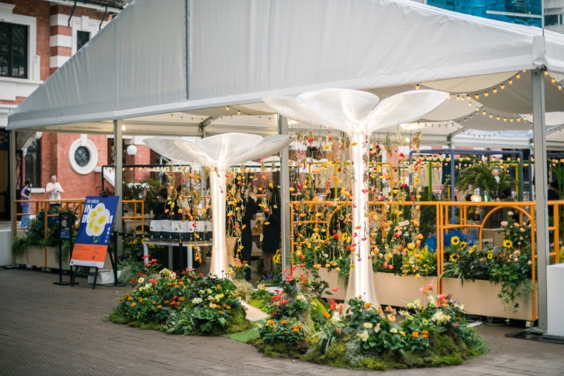 花見大館 2023 花見大館 2023