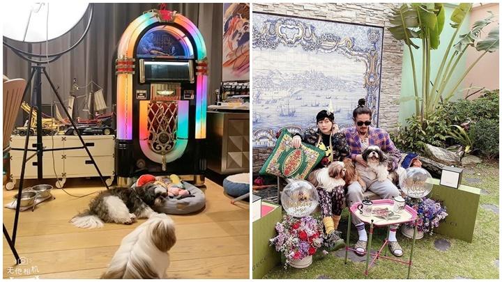 何超儀豪宅內(nèi)飾