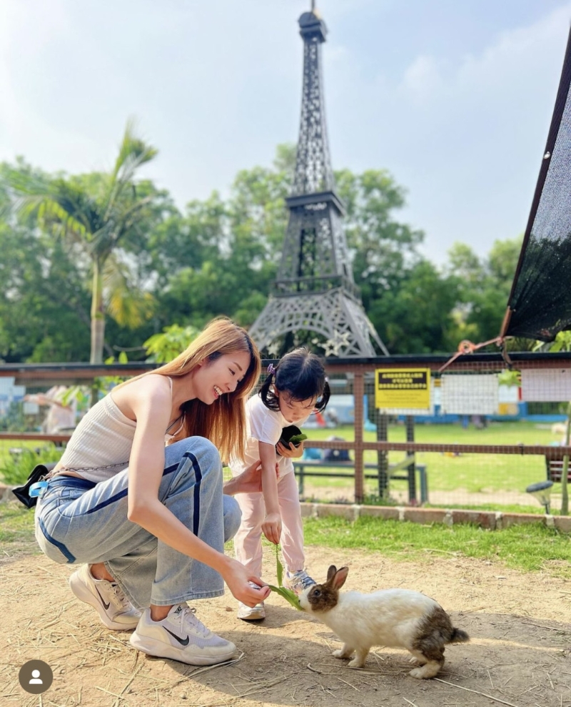 小白兔音樂農(nóng)莊 小白兔音樂農(nóng)莊