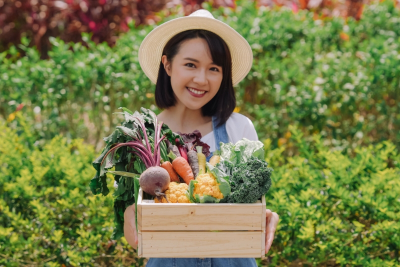 青衣城有機(jī)農(nóng)墟 青衣城有機(jī)農(nóng)墟