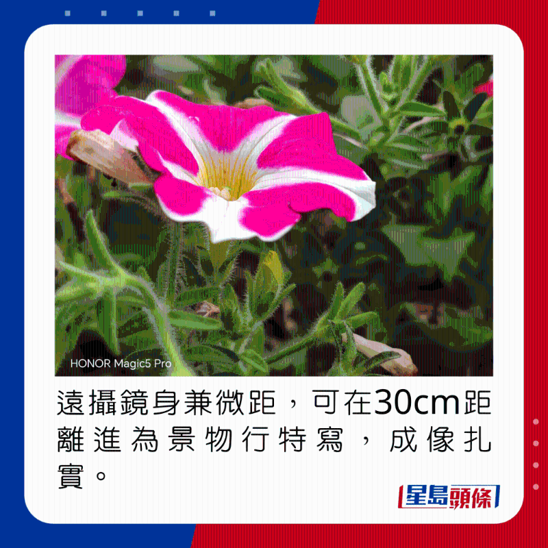 遠(yuǎn)攝鏡身兼微距，可在30cm距離進(jìn)為景物行特寫，成像扎實(shí)。