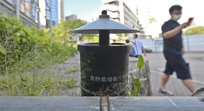 香港驅(qū)蚊水