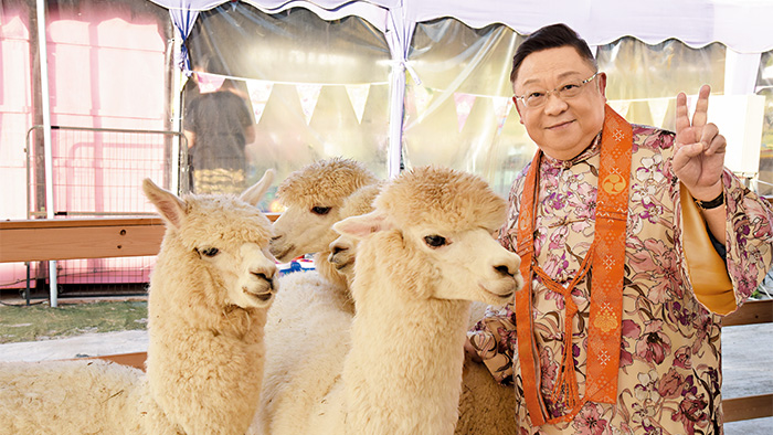 羊駝是未來(lái)人類(lèi)的救世密碼，對(duì)于老鼠生肖來(lái)說(shuō)，更是人間幸福的密碼。