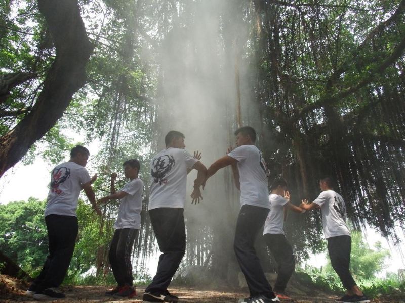鶴山古勞詠春拳