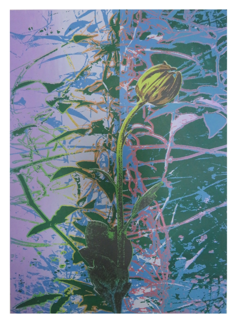 花的祝福 花的祝福