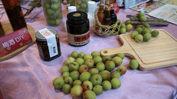 進入立夏，正是青梅最當造的季節(jié)