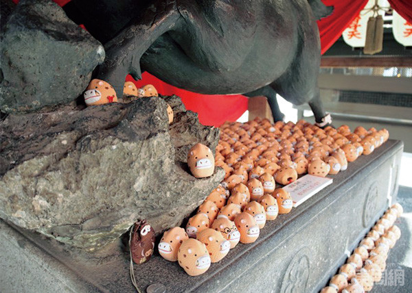 參拜者會把小型的豬放在巨豬下祈求勝利！