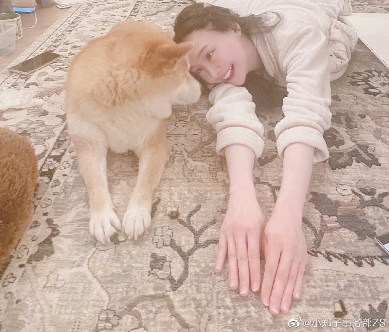 鄭爽粉絲稱是惡意P圖，并曬圖回擊