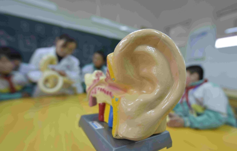 從相學角度，耳朵不但影響子女的運程，還會造成父母離異的人生悲劇。