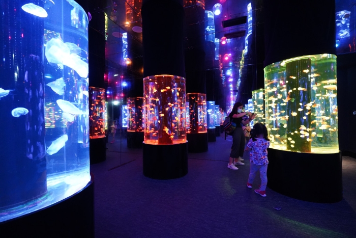 將真實(shí)水母、鏡影幻像及五光十色的燈光巧妙配合。