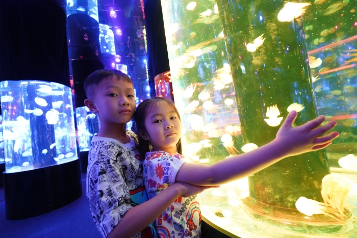 夢幻水母萬花筒猶如一個(gè)巨大萬花，繽紛奪目，水母品種非常豐富。