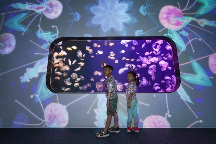 全館焦點(diǎn)之一是糅合海洋生物與投影效果的多媒體藝術(shù)裝置