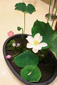 華開蓮現(xiàn) 華開蓮現(xiàn)