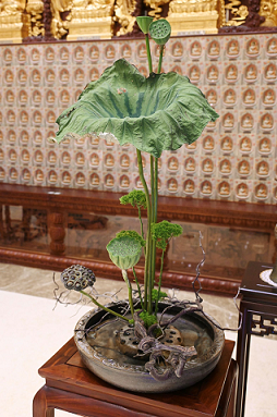 華落蓮成 華落蓮成