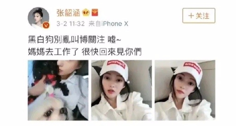 張韶涵曾曬黑白愛(ài)犬，被解讀為在影射范瑋琪夫婦。