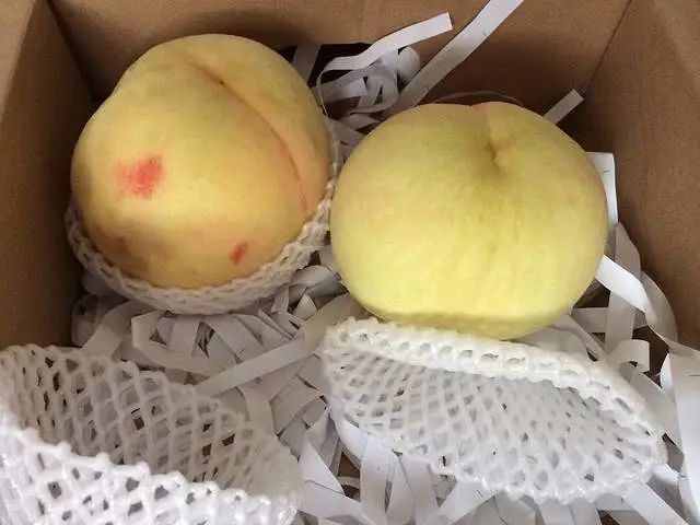 “桃王”陽(yáng)山水蜜桃